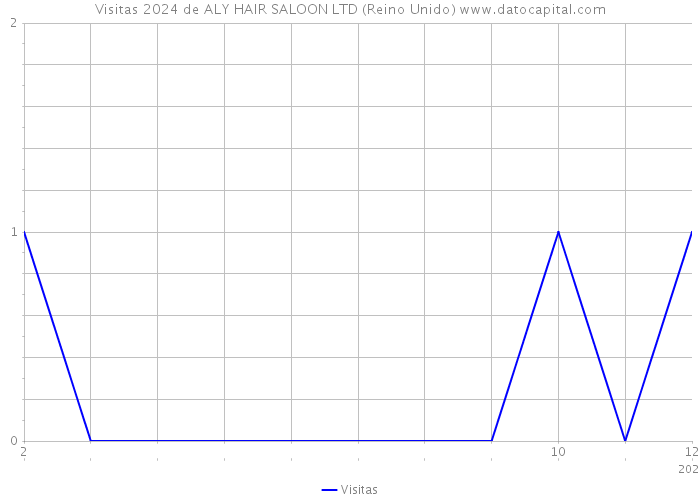Visitas 2024 de ALY HAIR SALOON LTD (Reino Unido) 