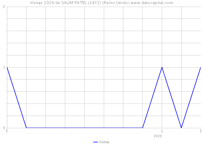 Visitas 2024 de SALIM PATEL (1972) (Reino Unido) 