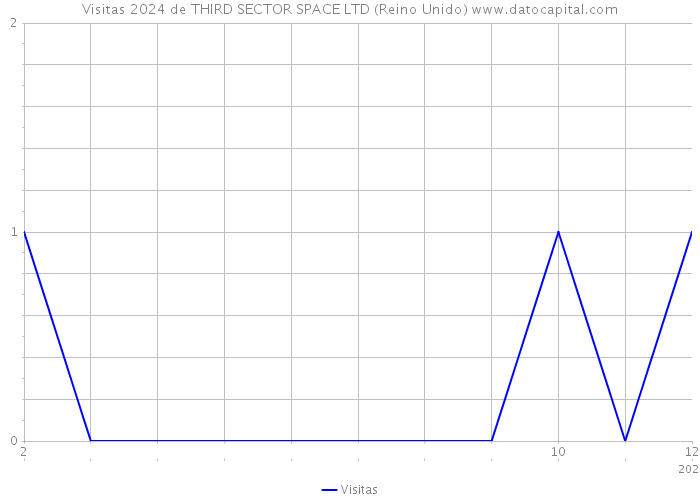 Visitas 2024 de THIRD SECTOR SPACE LTD (Reino Unido) 