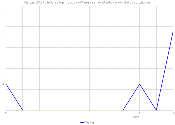 Visitas 2024 de Cjay Pennycook-White (Reino Unido) 