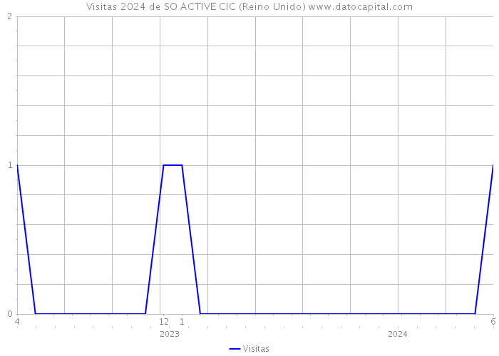 Visitas 2024 de SO ACTIVE CIC (Reino Unido) 