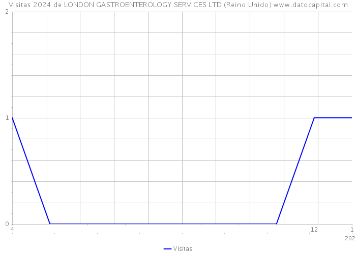 Visitas 2024 de LONDON GASTROENTEROLOGY SERVICES LTD (Reino Unido) 