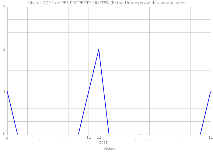 Visitas 2024 de PBS PROPERTY LIMITED (Reino Unido) 