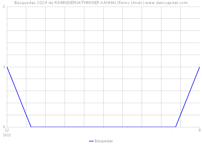 Búsquedas 2024 de RAWINDERNATHMISIER KANHAI (Reino Unido) 