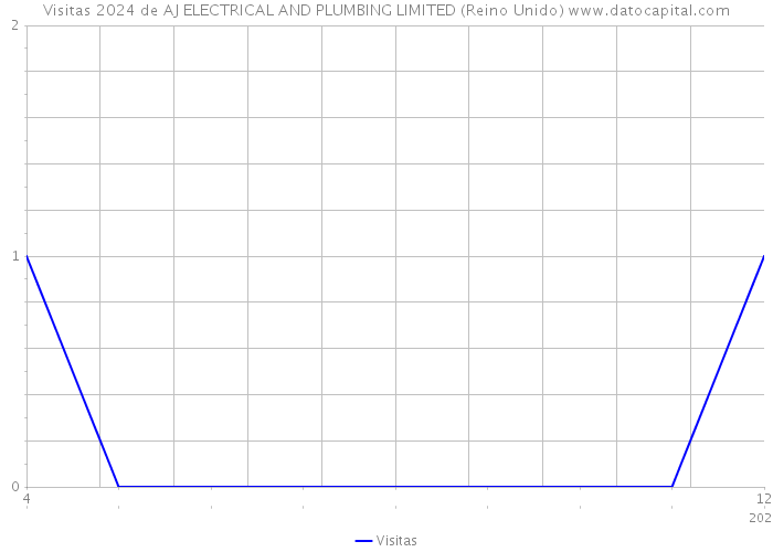 Visitas 2024 de AJ ELECTRICAL AND PLUMBING LIMITED (Reino Unido) 