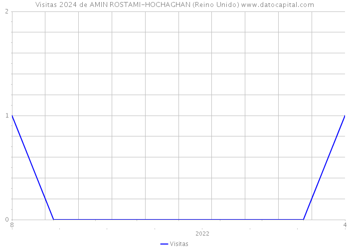 Visitas 2024 de AMIN ROSTAMI-HOCHAGHAN (Reino Unido) 