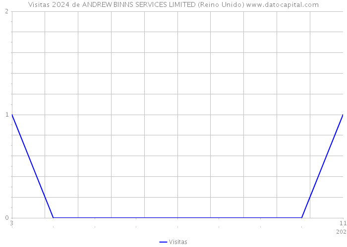 Visitas 2024 de ANDREW BINNS SERVICES LIMITED (Reino Unido) 