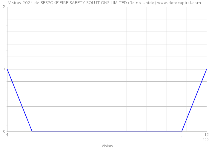 Visitas 2024 de BESPOKE FIRE SAFETY SOLUTIONS LIMITED (Reino Unido) 
