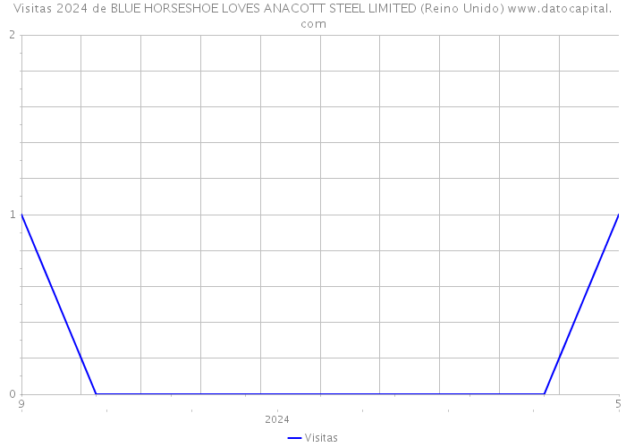 Visitas 2024 de BLUE HORSESHOE LOVES ANACOTT STEEL LIMITED (Reino Unido) 