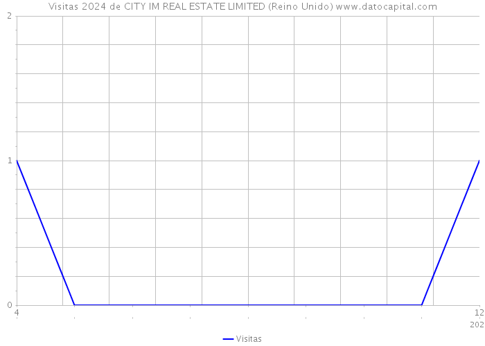 Visitas 2024 de CITY IM REAL ESTATE LIMITED (Reino Unido) 