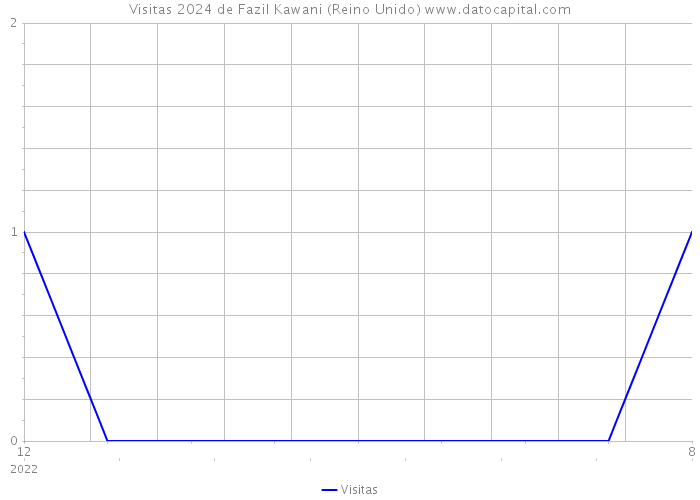 Visitas 2024 de Fazil Kawani (Reino Unido) 