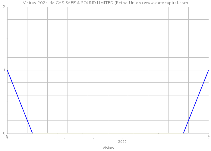 Visitas 2024 de GAS SAFE & SOUND LIMITED (Reino Unido) 