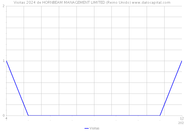 Visitas 2024 de HORNBEAM MANAGEMENT LIMITED (Reino Unido) 