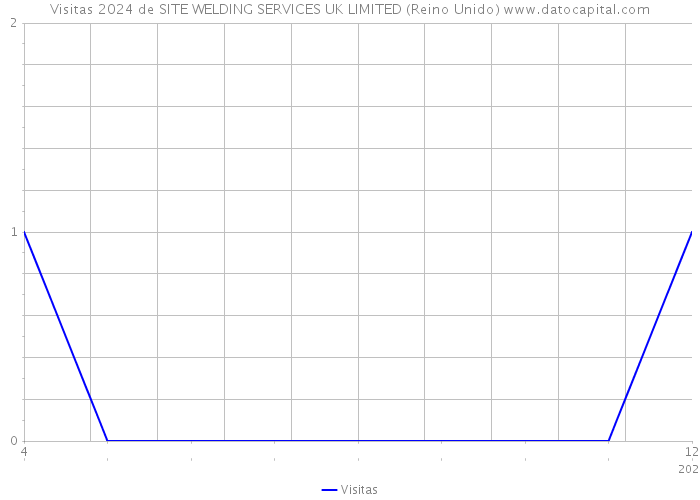 Visitas 2024 de SITE WELDING SERVICES UK LIMITED (Reino Unido) 