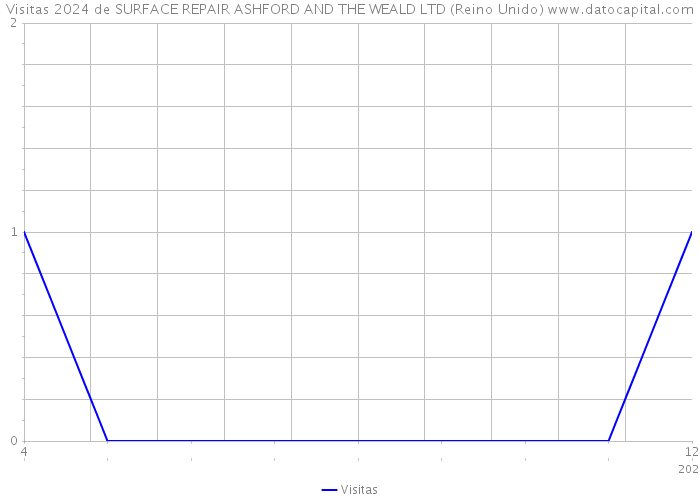 Visitas 2024 de SURFACE REPAIR ASHFORD AND THE WEALD LTD (Reino Unido) 