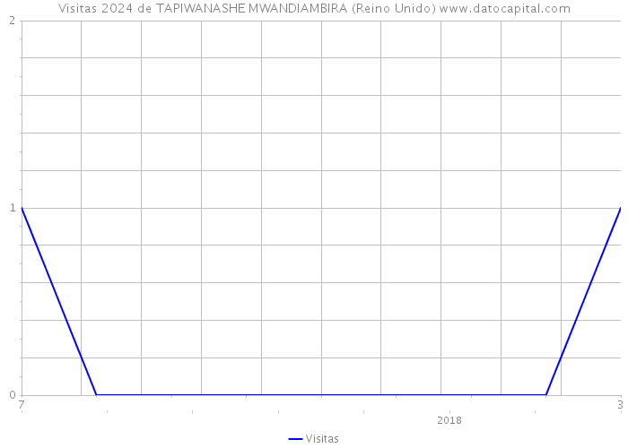 Visitas 2024 de TAPIWANASHE MWANDIAMBIRA (Reino Unido) 