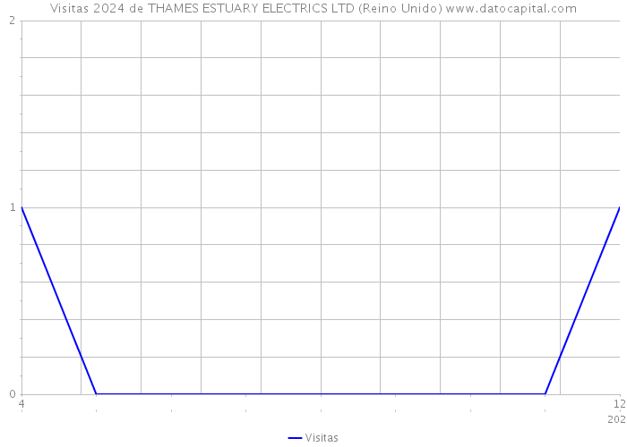 Visitas 2024 de THAMES ESTUARY ELECTRICS LTD (Reino Unido) 