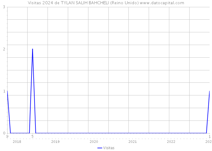 Visitas 2024 de TYLAN SALIH BAHCHELI (Reino Unido) 