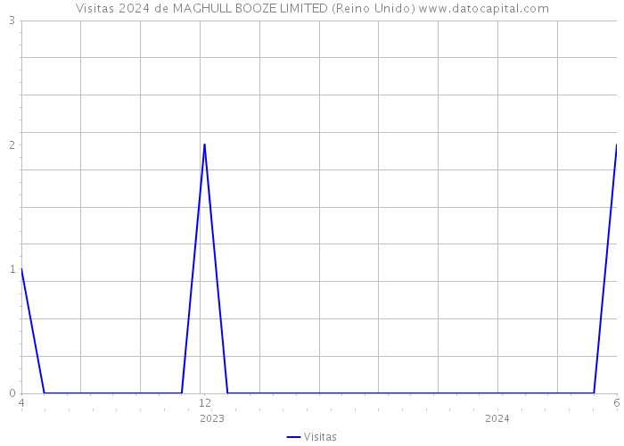 Visitas 2024 de MAGHULL BOOZE LIMITED (Reino Unido) 