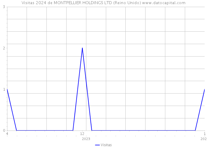 Visitas 2024 de MONTPELLIER HOLDINGS LTD (Reino Unido) 