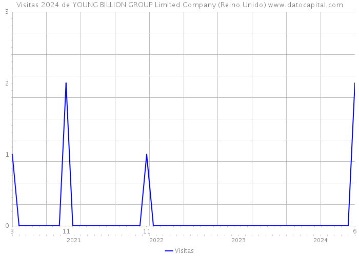 Visitas 2024 de YOUNG BILLION GROUP Limited Company (Reino Unido) 