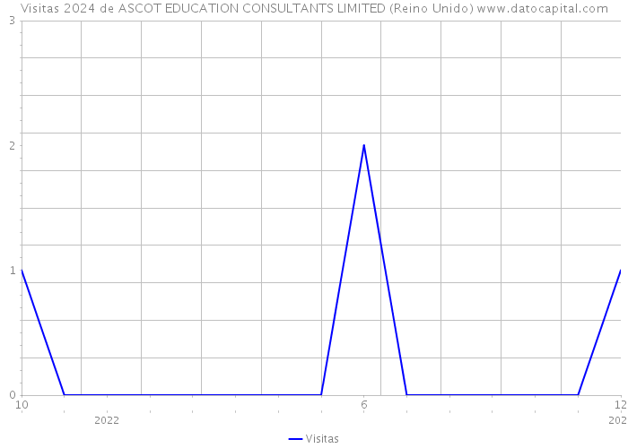 Visitas 2024 de ASCOT EDUCATION CONSULTANTS LIMITED (Reino Unido) 