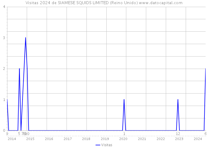 Visitas 2024 de SIAMESE SQUIDS LIMITED (Reino Unido) 