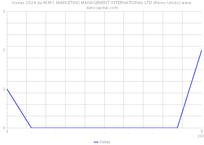 Visitas 2024 de M.M.I. MARKETING MANAGEMENT INTERNATIONAL LTD (Reino Unido) 