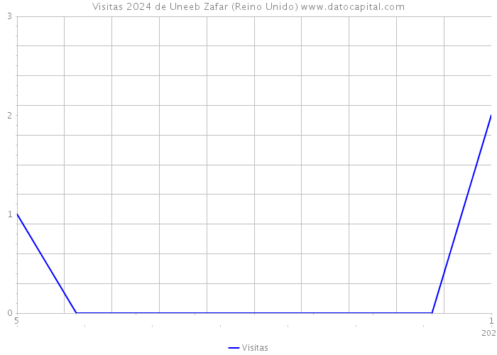 Visitas 2024 de Uneeb Zafar (Reino Unido) 