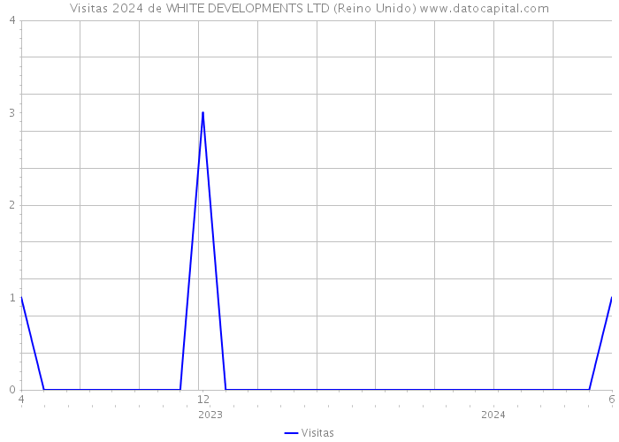 Visitas 2024 de WHITE DEVELOPMENTS LTD (Reino Unido) 