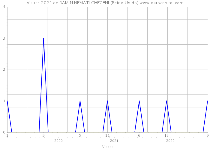 Visitas 2024 de RAMIN NEMATI CHEGENI (Reino Unido) 