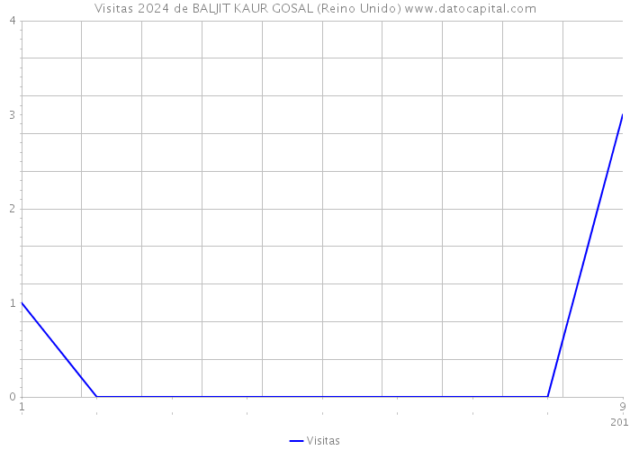 Visitas 2024 de BALJIT KAUR GOSAL (Reino Unido) 