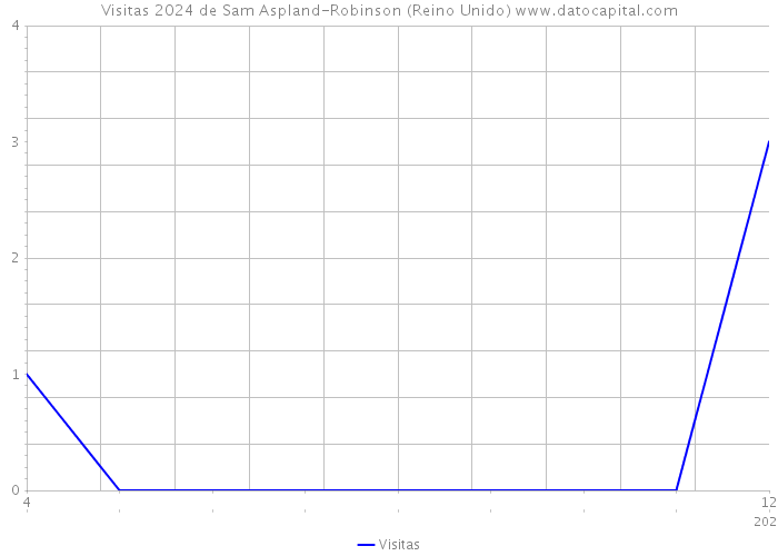 Visitas 2024 de Sam Aspland-Robinson (Reino Unido) 