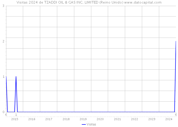 Visitas 2024 de TZADDI OIL & GAS INC. LIMITED (Reino Unido) 