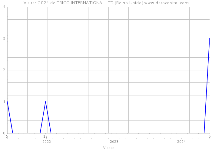 Visitas 2024 de TRICO INTERNATIONAL LTD (Reino Unido) 