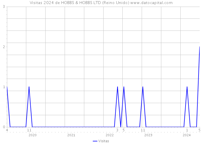 Visitas 2024 de HOBBS & HOBBS LTD (Reino Unido) 