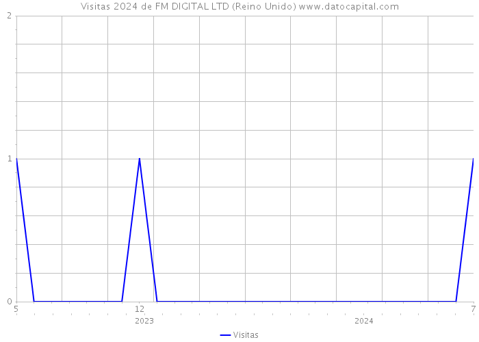 Visitas 2024 de FM DIGITAL LTD (Reino Unido) 