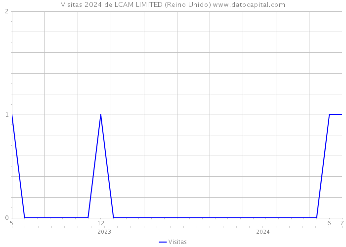 Visitas 2024 de LCAM LIMITED (Reino Unido) 