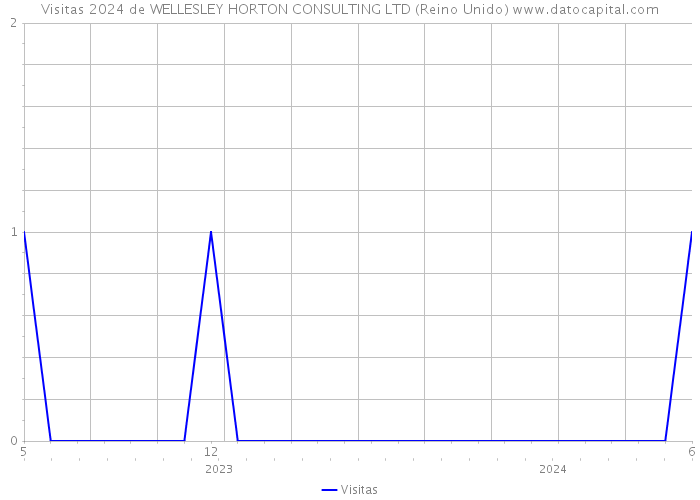 Visitas 2024 de WELLESLEY HORTON CONSULTING LTD (Reino Unido) 