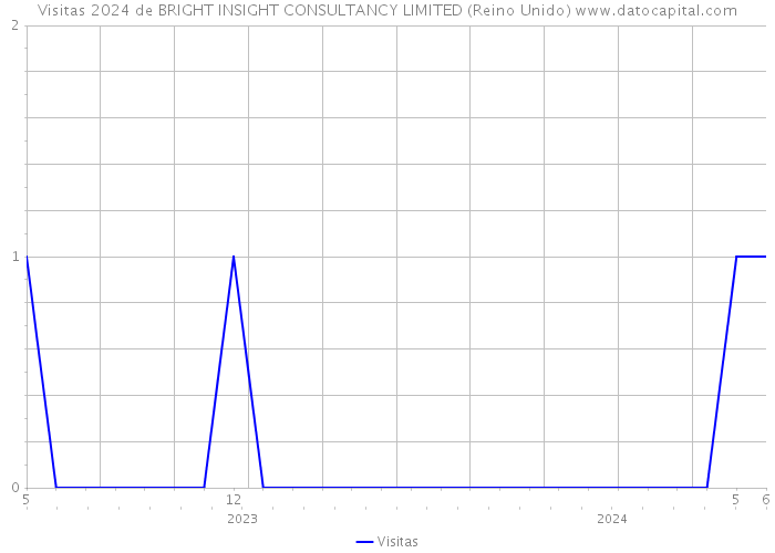 Visitas 2024 de BRIGHT INSIGHT CONSULTANCY LIMITED (Reino Unido) 