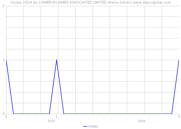 Visitas 2024 de CAMERON JAMES ASSOCIATES LIMITED (Reino Unido) 