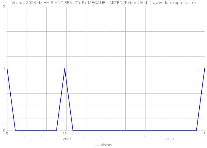Visitas 2024 de HAIR AND BEAUTY BY MEGANE LIMITED (Reino Unido) 
