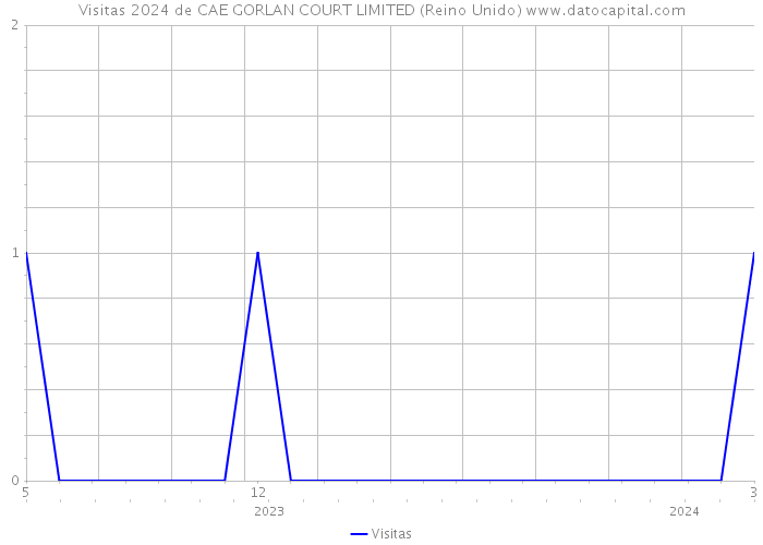 Visitas 2024 de CAE GORLAN COURT LIMITED (Reino Unido) 