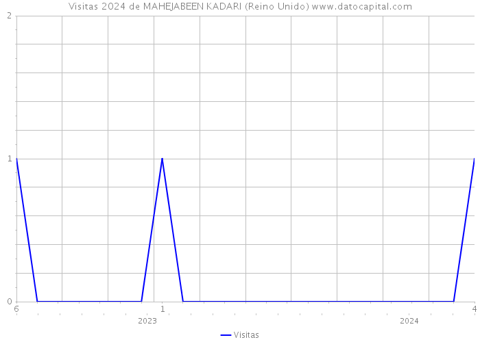 Visitas 2024 de MAHEJABEEN KADARI (Reino Unido) 