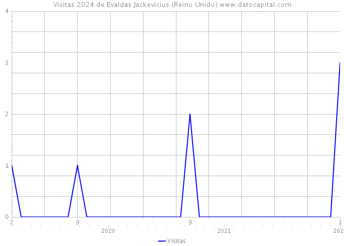 Visitas 2024 de Evaldas Jackevicius (Reino Unido) 