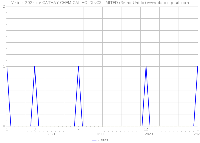 Visitas 2024 de CATHAY CHEMICAL HOLDINGS LIMITED (Reino Unido) 