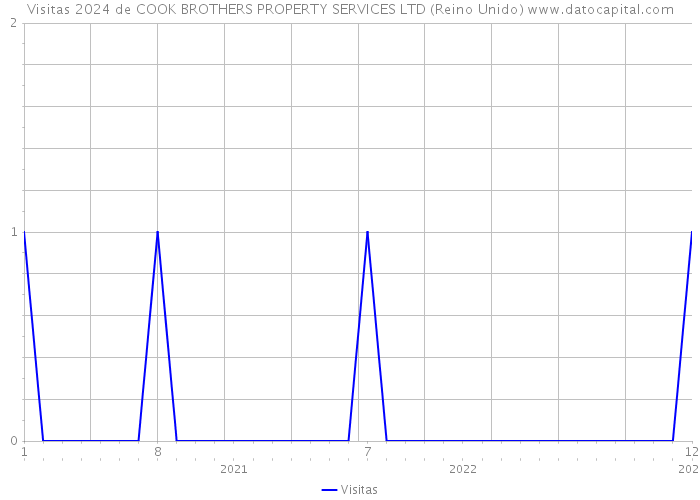 Visitas 2024 de COOK BROTHERS PROPERTY SERVICES LTD (Reino Unido) 