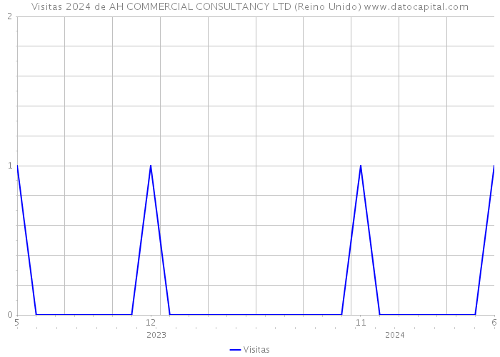 Visitas 2024 de AH COMMERCIAL CONSULTANCY LTD (Reino Unido) 