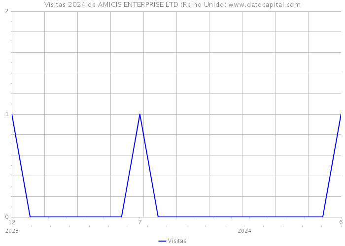 Visitas 2024 de AMICIS ENTERPRISE LTD (Reino Unido) 