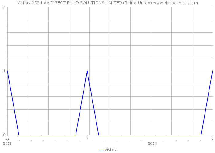 Visitas 2024 de DIRECT BUILD SOLUTIONS LIMITED (Reino Unido) 